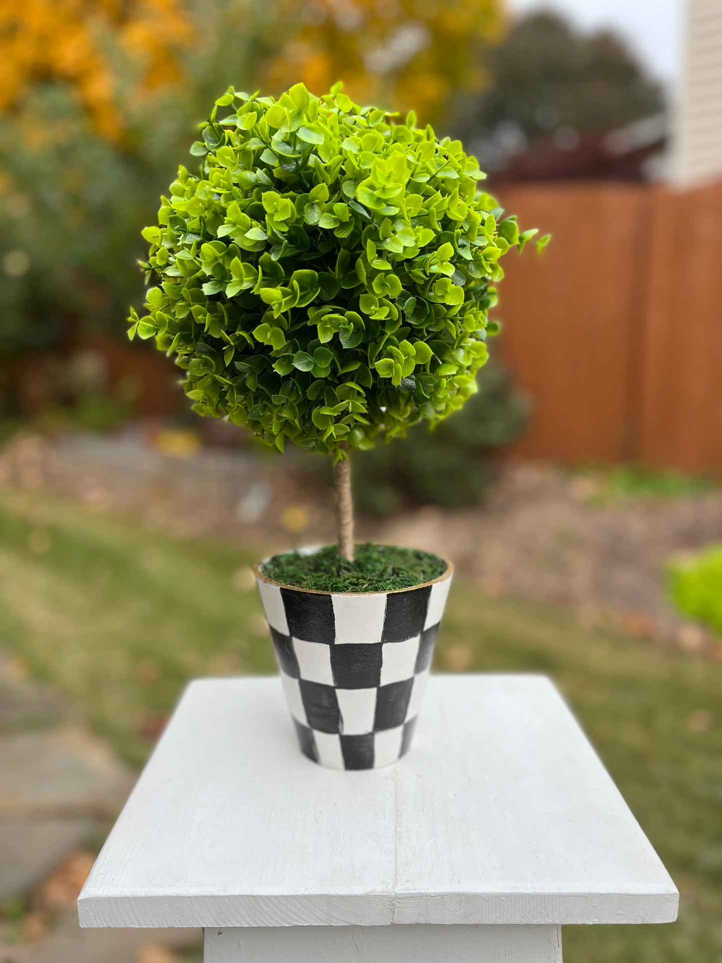 Topiary in a Pot