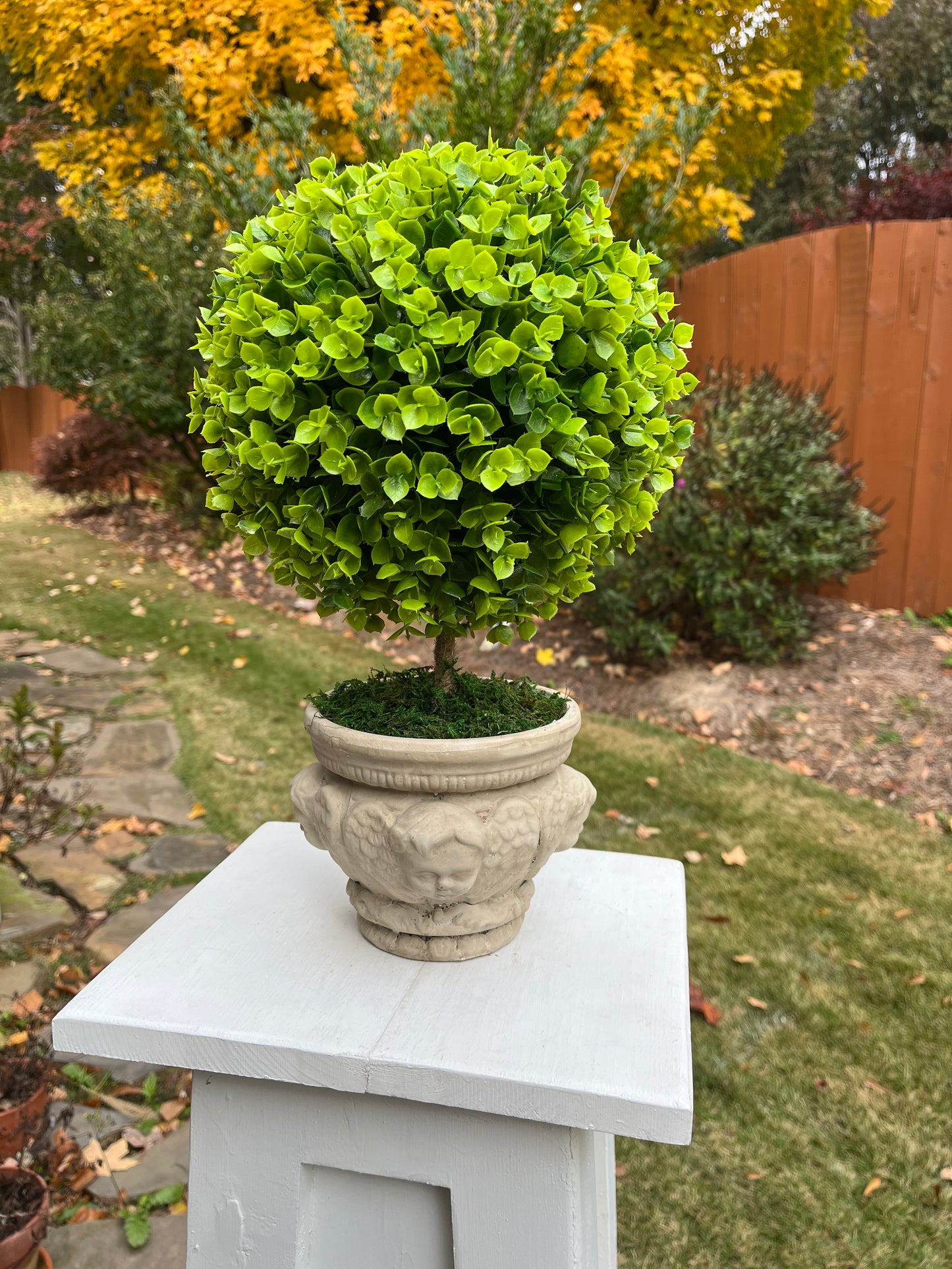 Topiary in a Ceramic Pot
