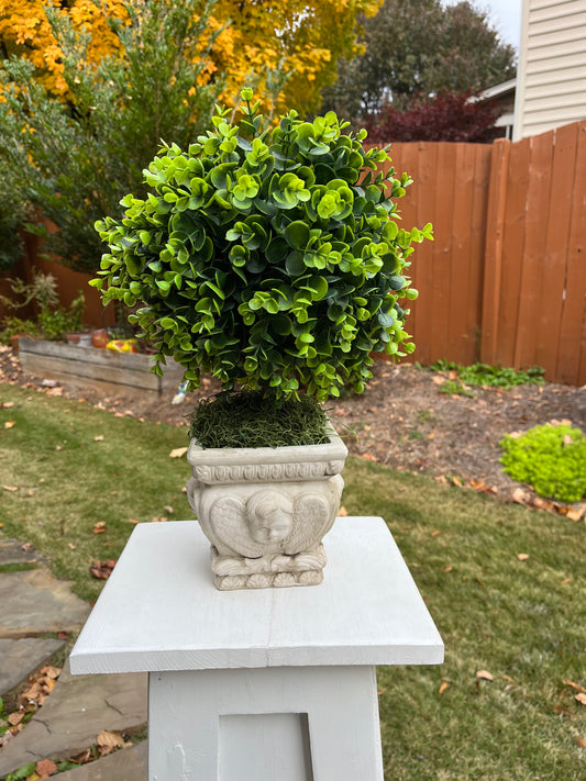 Topiary in a Ceramic Pot